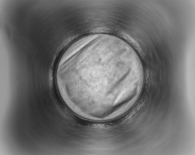 X0000096640298200802261304