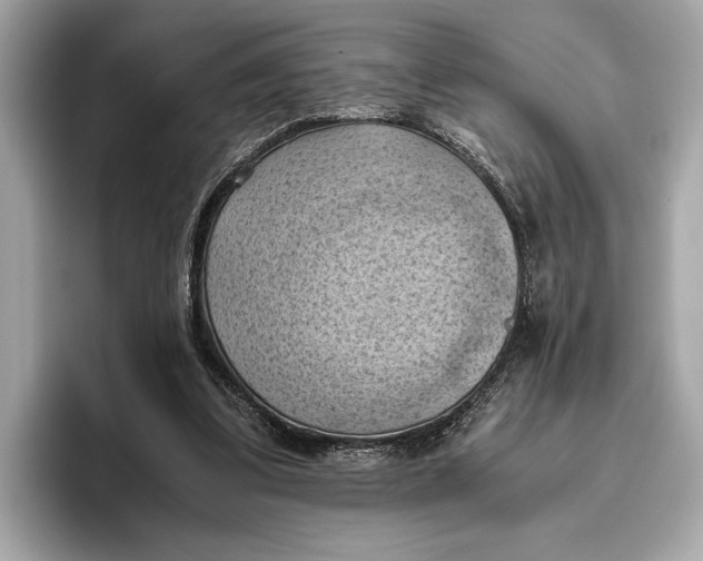 X0000096640299200802261304