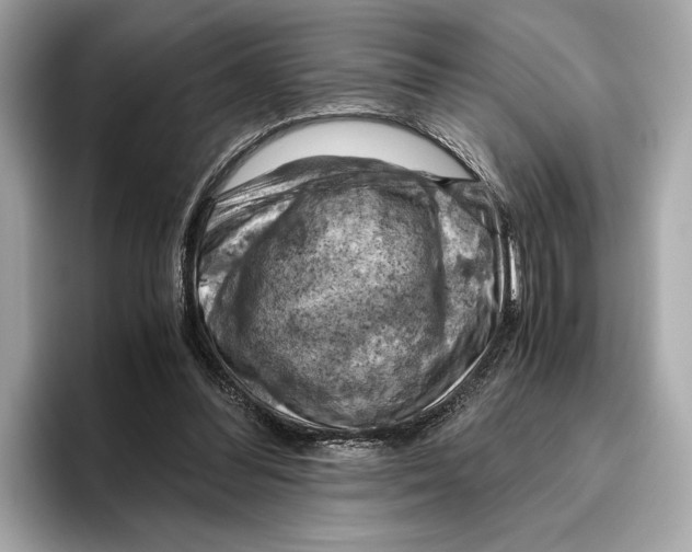 X0000096640300200802261304