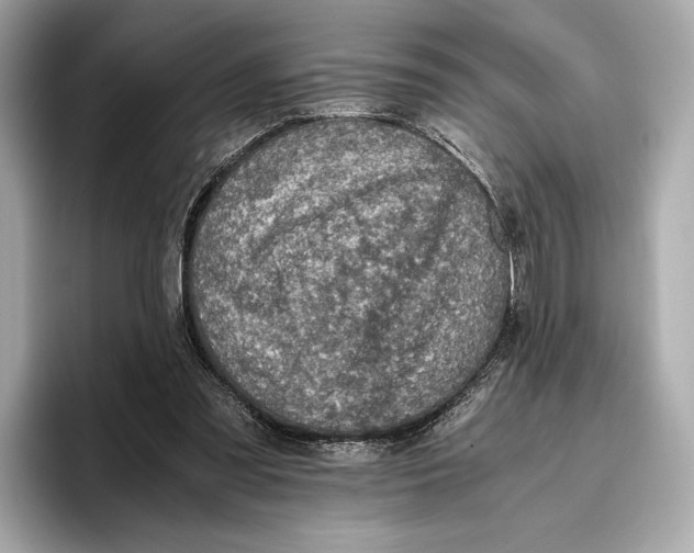 X0000096640301200802261304