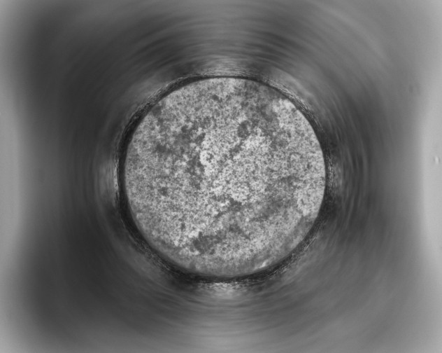 X0000096640302200802261304