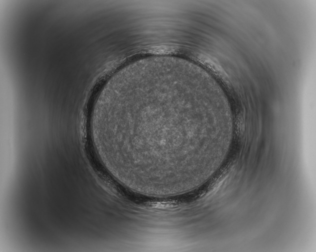 X0000096640303200802261304