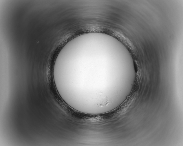 X0000096640306200802261304