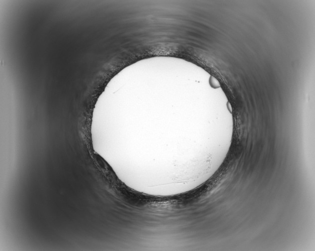 X0000096640307200802261304