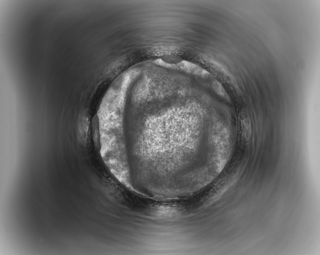 X0000096640308200802261304