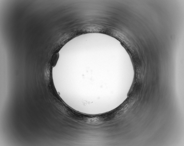 X0000096640309200802261304