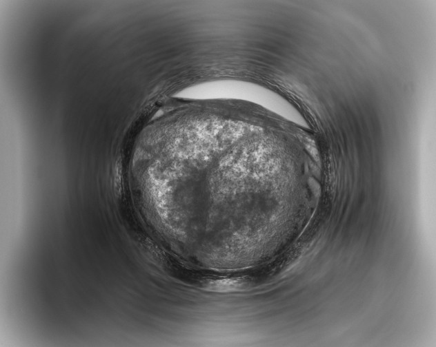 X0000096640312200802261304