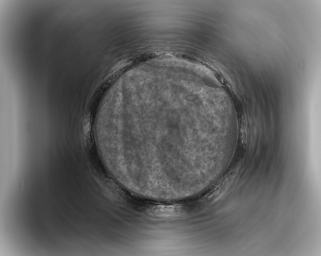 X0000096640314200802261304