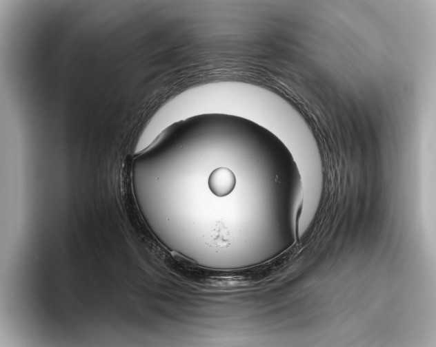 X0000096640316200802261304