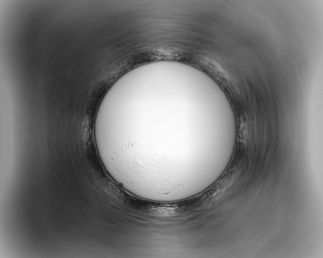 X0000096640318200802261304