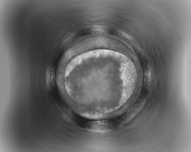 X0000096640320200802261304