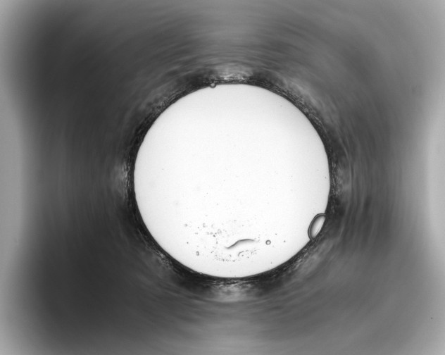 X0000096640321200802261304