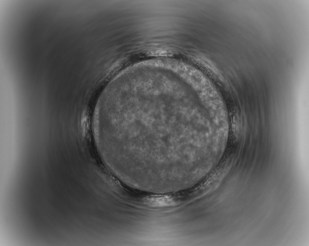 X0000096640322200802261304