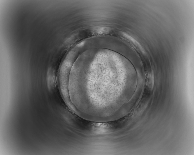 X0000096640324200802261304