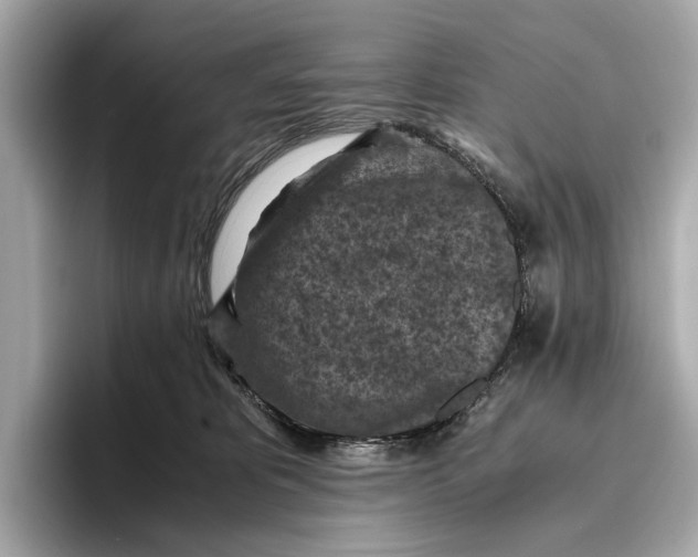 X0000096640325200802261304