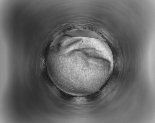 X0000096640327200802261304