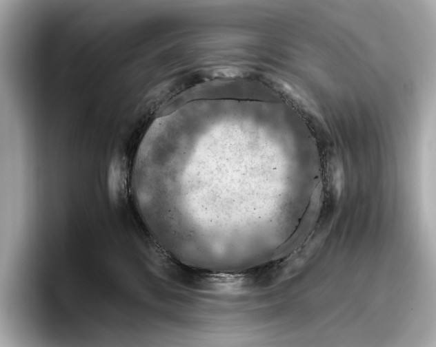 X0000096640328200802261304