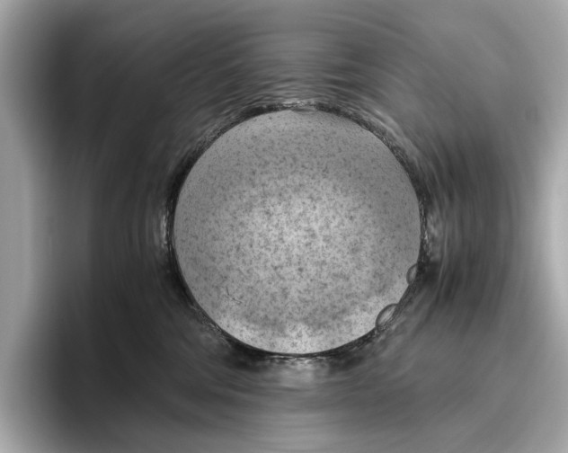 X0000096640330200802261304