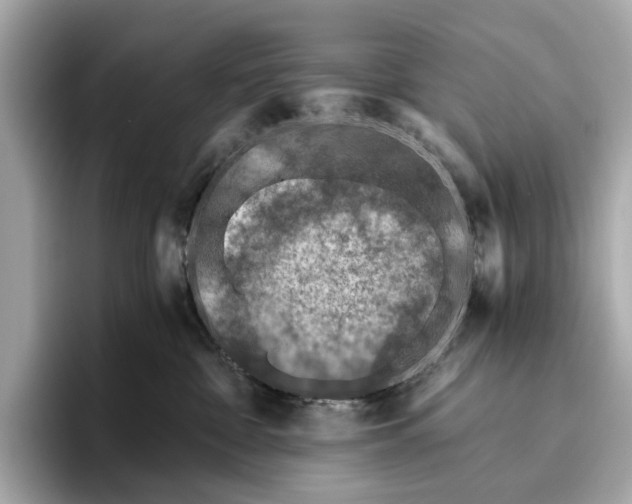 X0000096640332200802261304