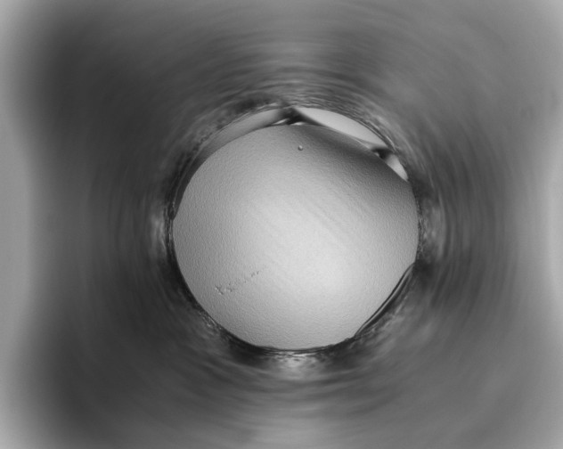 X0000096640333200802261304