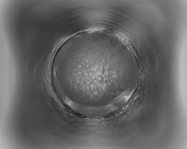 X0000096640337200802261303