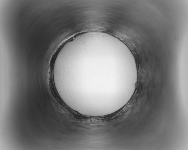 X0000096640338200802261303