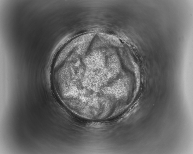 X0000096640341200802261303