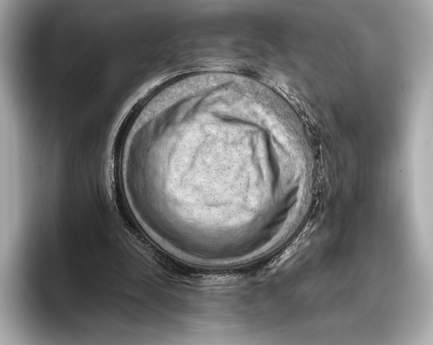 X0000096640342200802261303