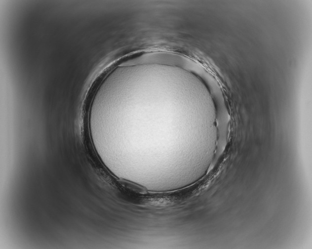 X0000096640344200802261303