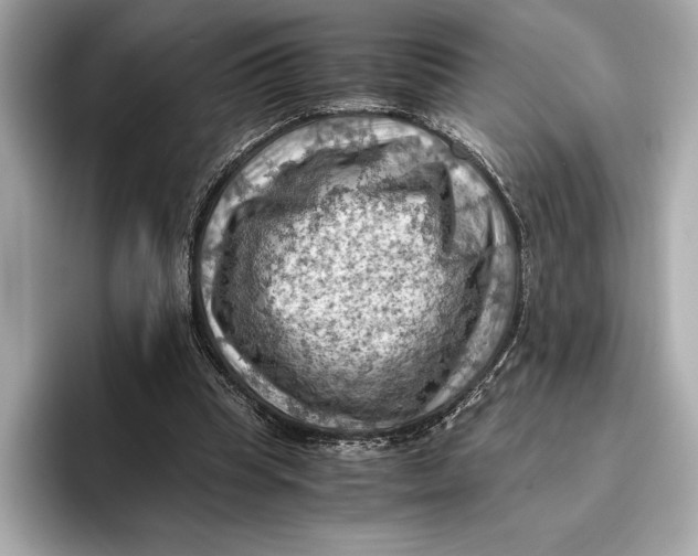 X0000096640345200802261303