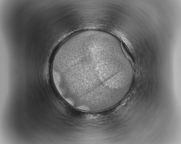 X0000096640346200802261303