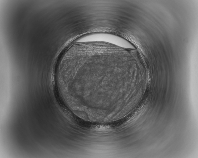 X0000096640348200802261303