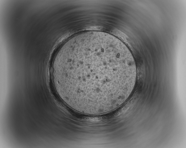 X0000096640349200802261303