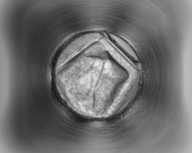 X0000096640350200802261303