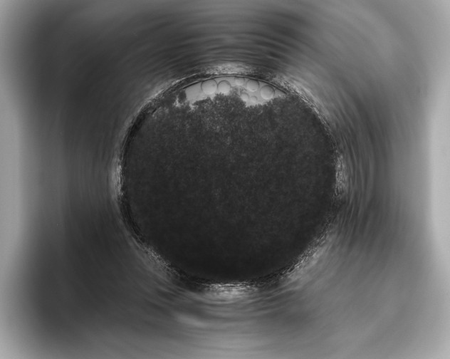 X0000096640351200802261303