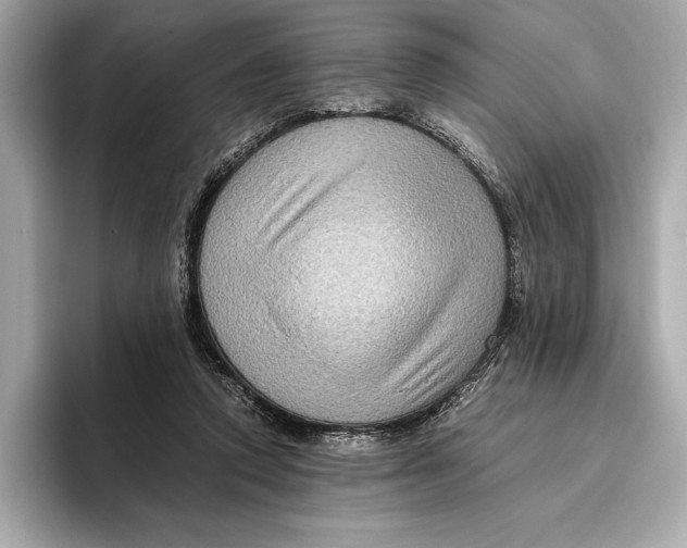 X0000096640354200802261303