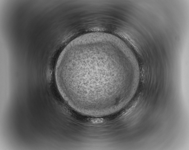 X0000096640355200802261303