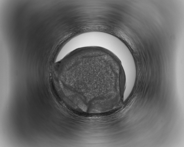 X0000096640356200802261303