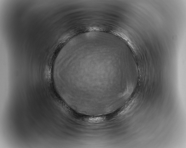 X0000096640357200802261303