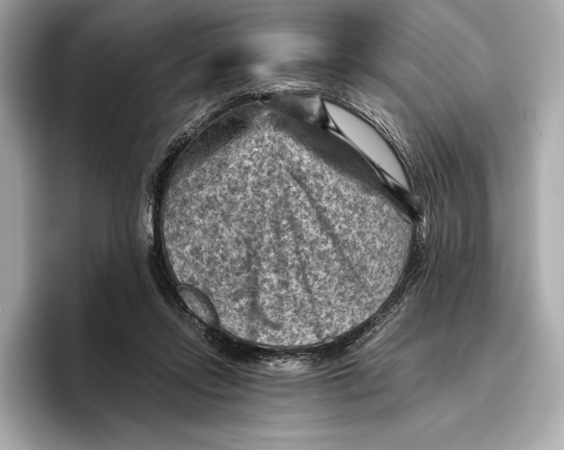 X0000096640358200802261303