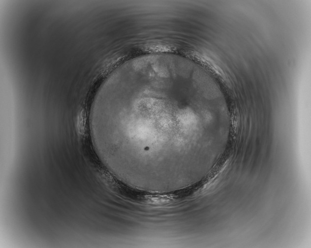 X0000096640359200802261303