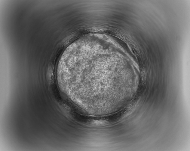 X0000096640360200802261303