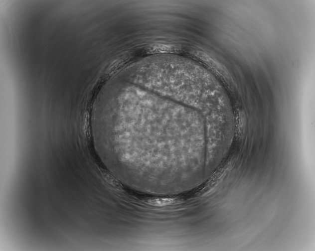 X0000096640361200802261303