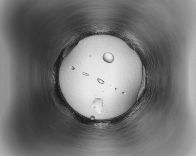 X0000096640362200802261303