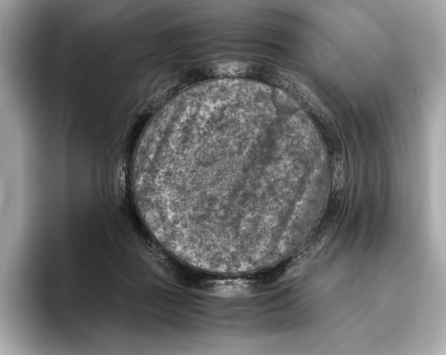 X0000096640363200802261303