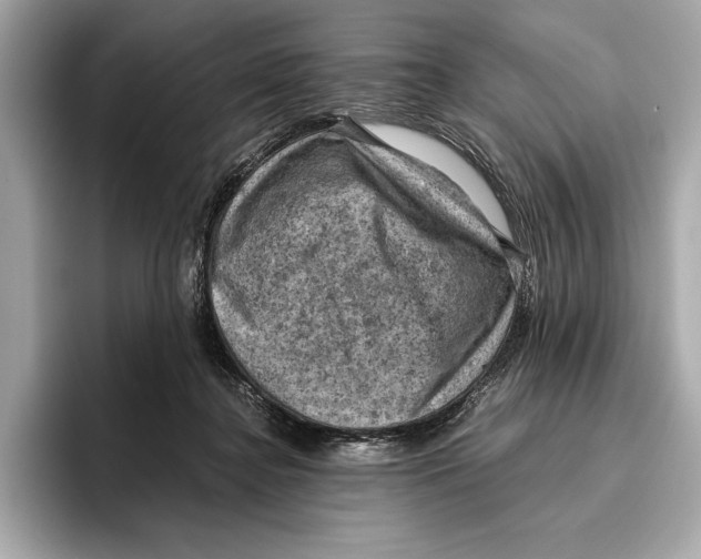 X0000096640364200802261303