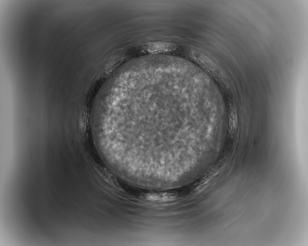 X0000096640367200802261303