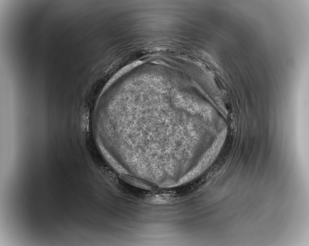 X0000096640368200802261303