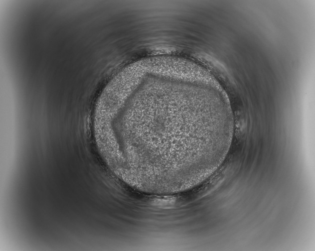 X0000096640369200802261303