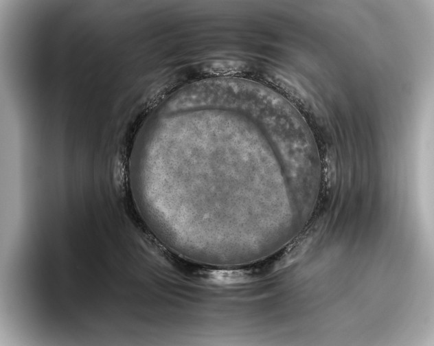 X0000096640371200802261303